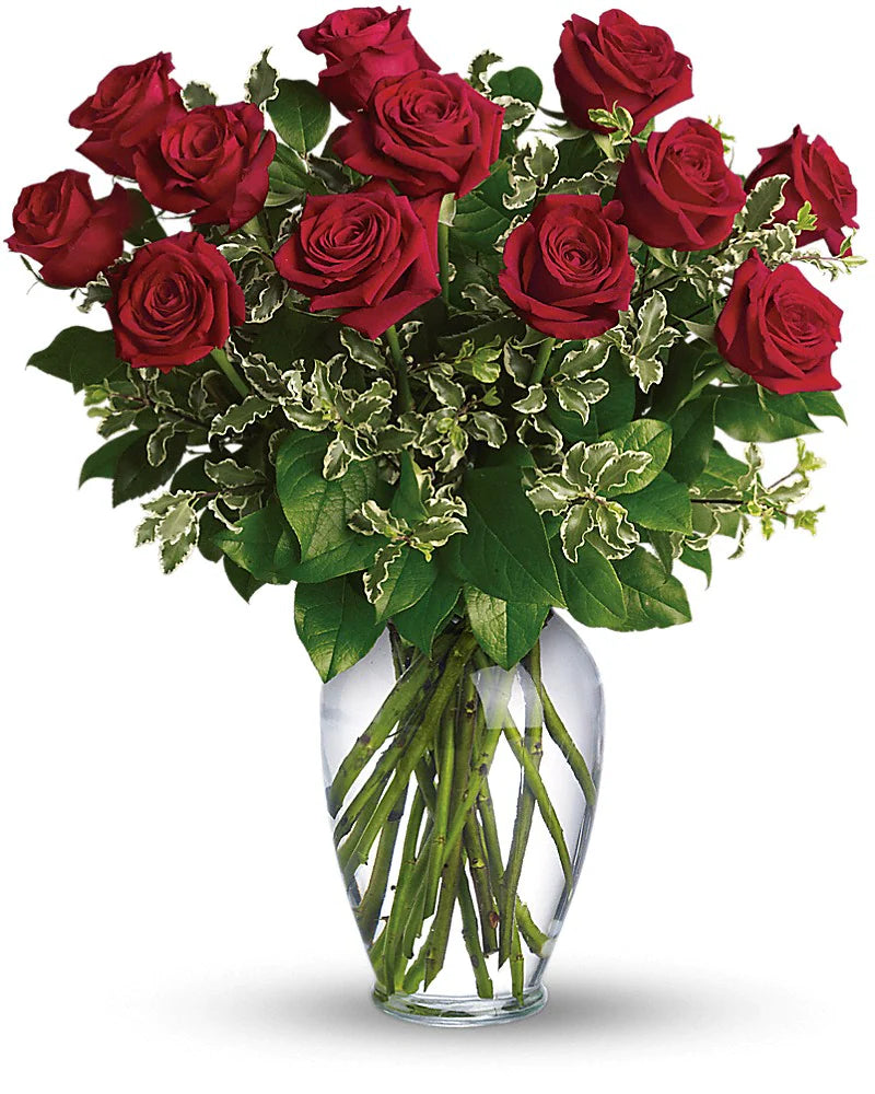 One Dozen Roses